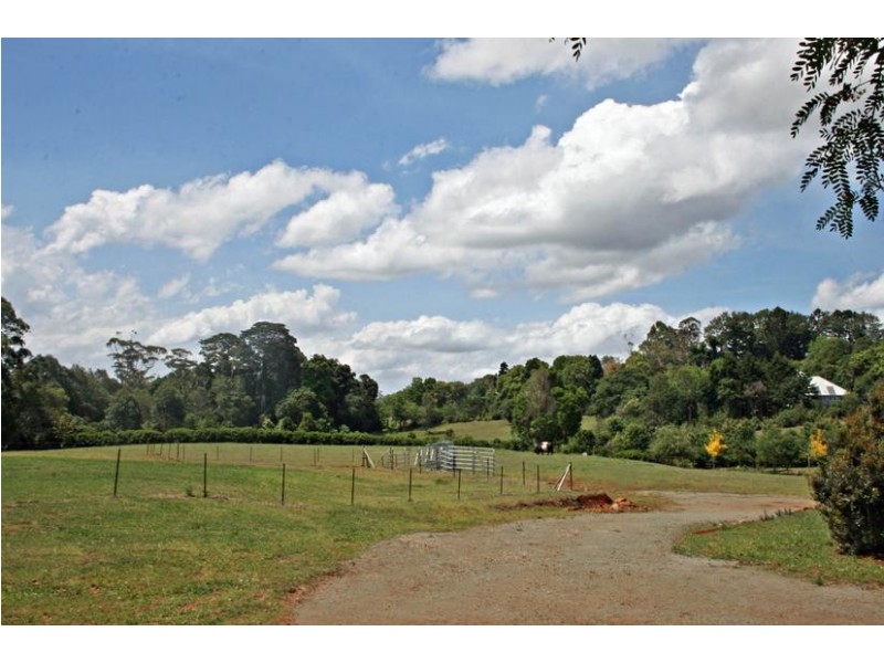 Tamborine Mountain QLD 4272
