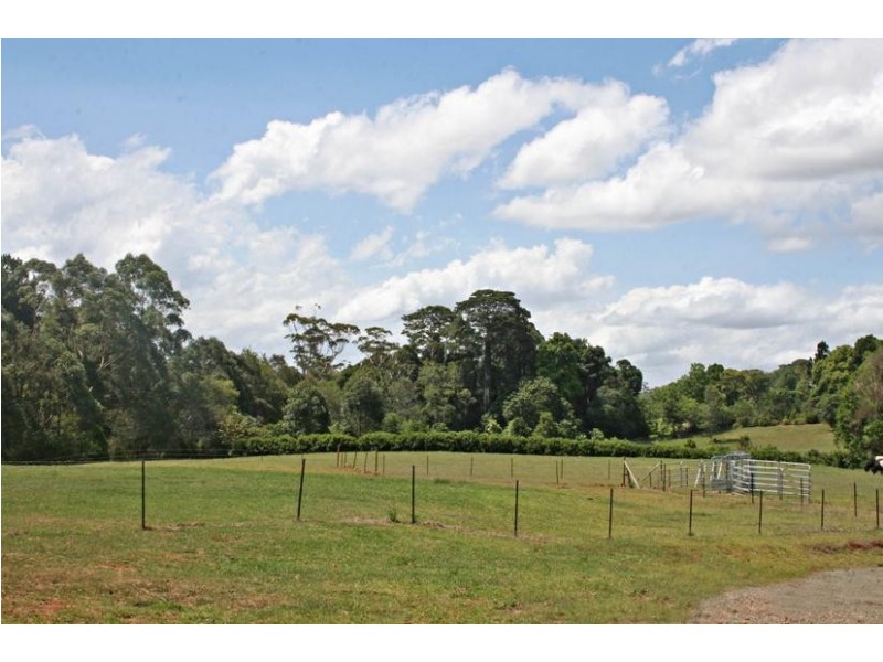 Tamborine Mountain QLD 4272