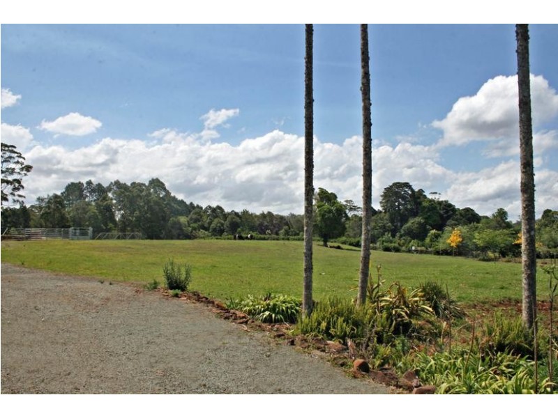 Tamborine Mountain QLD 4272