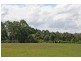 Tamborine Mountain QLD 4272