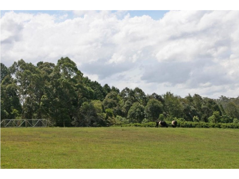 Tamborine Mountain QLD 4272