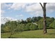 Tamborine Mountain QLD 4272