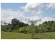 Tamborine Mountain QLD 4272