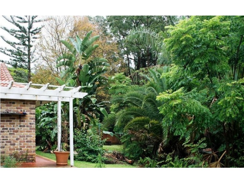 Tamborine Mountain QLD 4272