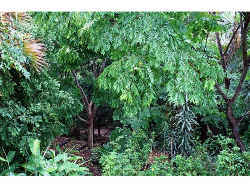 Tamborine Mountain QLD 4272