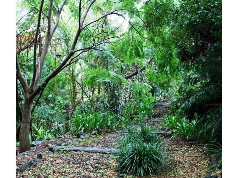 Tamborine Mountain QLD 4272