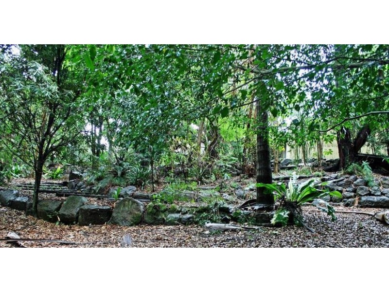 Tamborine Mountain QLD 4272