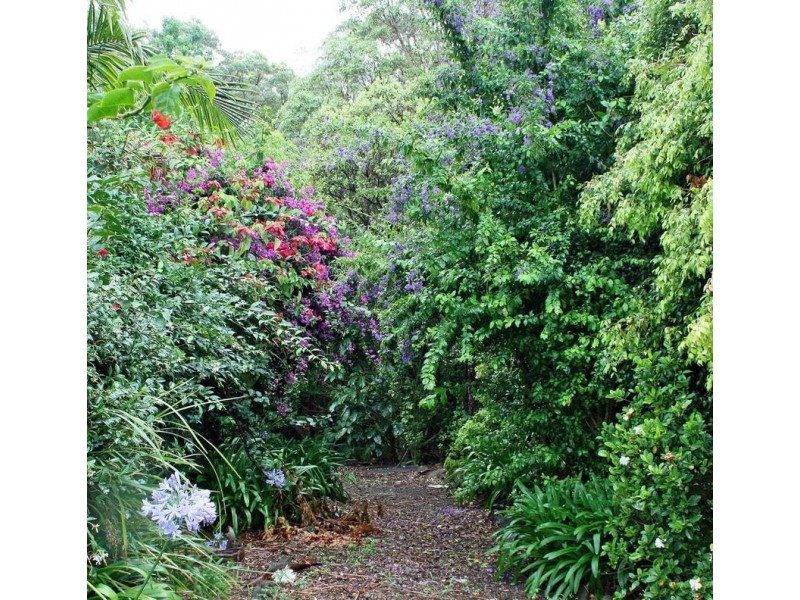 Tamborine Mountain QLD 4272