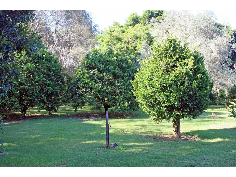 Tamborine Mountain QLD 4272