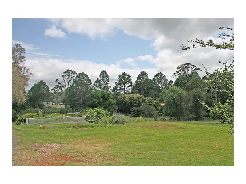 Tamborine Mountain QLD 4272