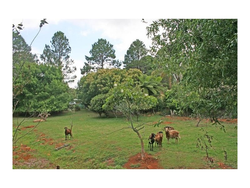 Tamborine Mountain QLD 4272