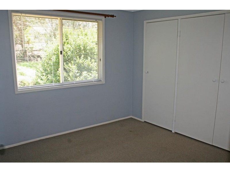 116 Licuala Drive, Tamborine Mountain QLD 4272