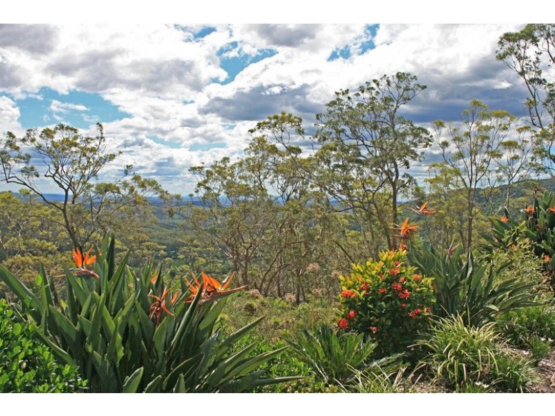 Lot 157,  Jourdana Dr, Tamborine Mountain QLD 4272