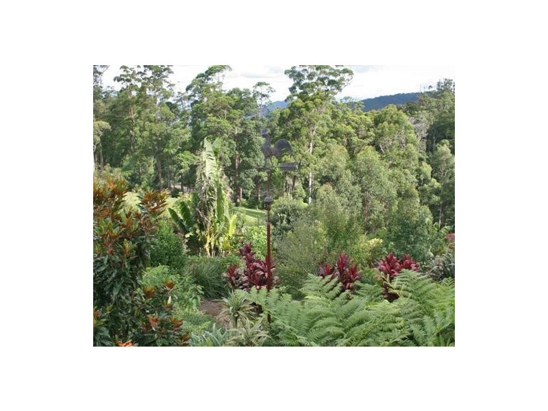 Tamborine Mountain QLD 4272