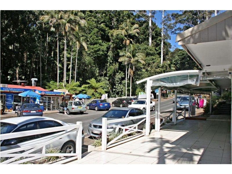 Tamborine Mountain QLD 4272