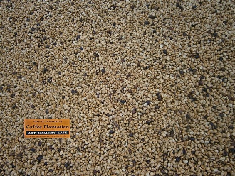 64-66 Alpine Tce, Mount Tamborine., Tamborine Mountain QLD 4272