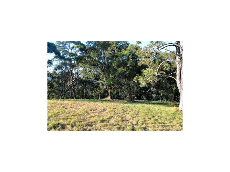 7b Celebes Court, Mount Tamborine., Tamborine Mountain QLD 4272