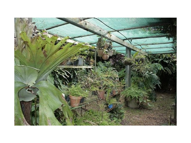 73 Coomera Gorge Dr, Mount Tamborine., Tamborine Mountain QLD 4272