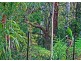 12 Kamet Court, Eagle Heights QLD 4271