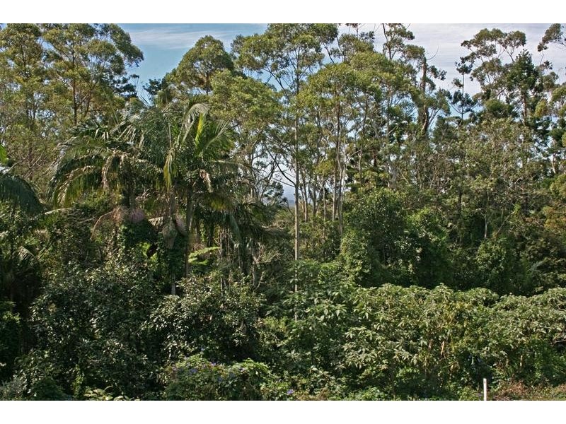 22 Wongawallan Road, Eagle Heights QLD 4271