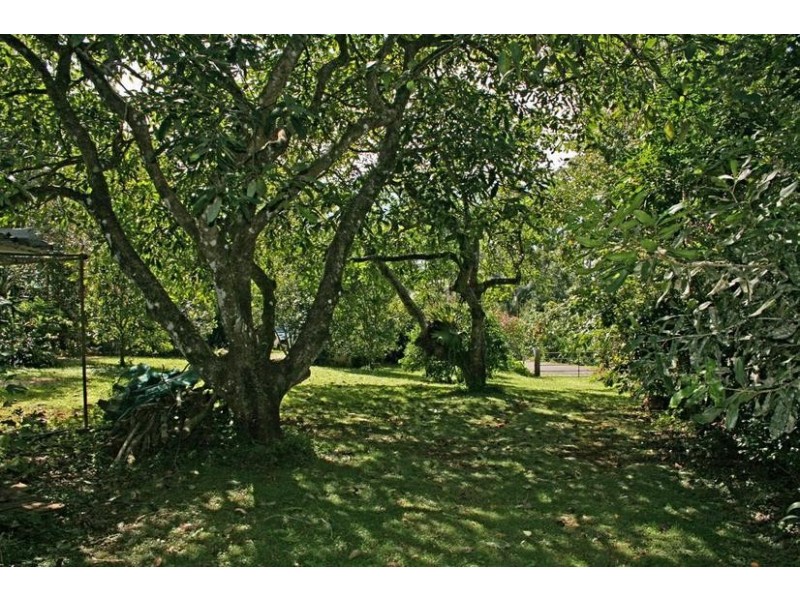 24 Wongawallan Road, Eagle Heights QLD 4271