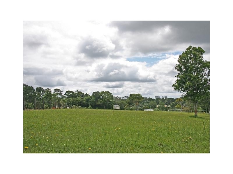 24 Benowa Street Mt Tamborine, Tamborine Mountain QLD 4272