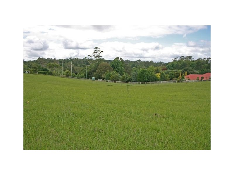 24 Benowa Street Mt Tamborine, Tamborine Mountain QLD 4272