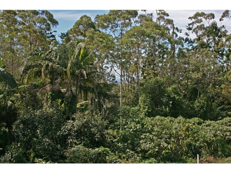 22-24 Wongawallan Road, Eagle Heights., Tamborine Mountain QLD 4272