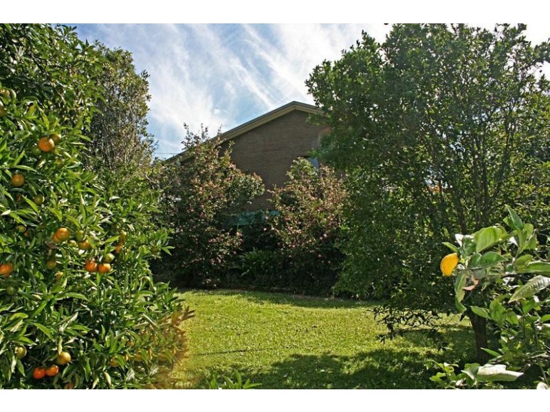 22-24 Wongawallan Road, Eagle Heights., Tamborine Mountain QLD 4272