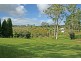 Tamborine Mountain QLD 4272