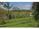Tamborine Mountain QLD 4272