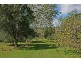 Tamborine Mountain QLD 4272