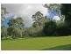 Tamborine Mountain QLD 4272