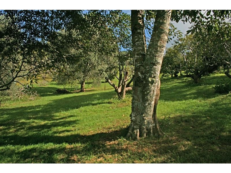 Tamborine Mountain QLD 4272