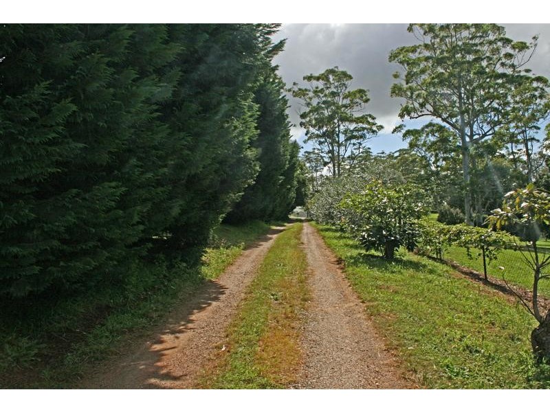 Tamborine Mountain QLD 4272
