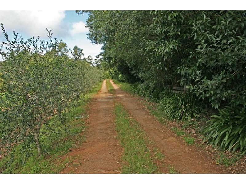 Tamborine Mountain QLD 4272