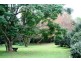 Tamborine Mountain QLD 4272