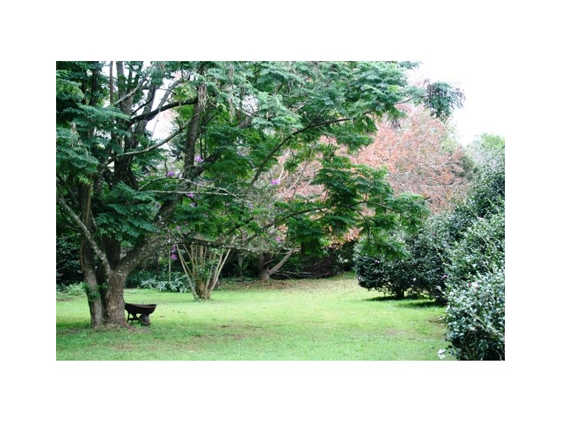 Tamborine Mountain QLD 4272