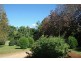 Tamborine Mountain QLD 4272