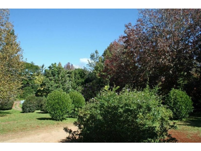 Tamborine Mountain QLD 4272