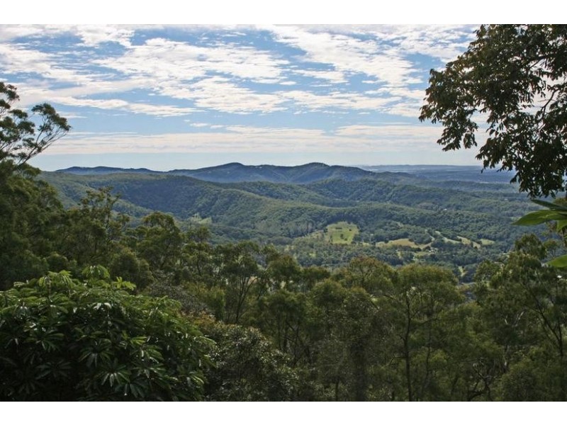 251 Guanaba Creek Road, Tamborine Mountain QLD 4272