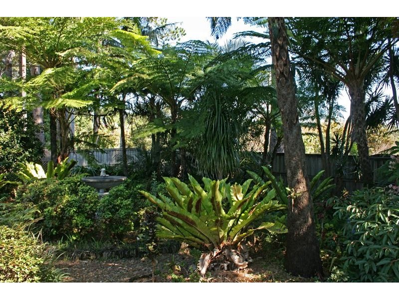 Tamborine Mountain QLD 4272