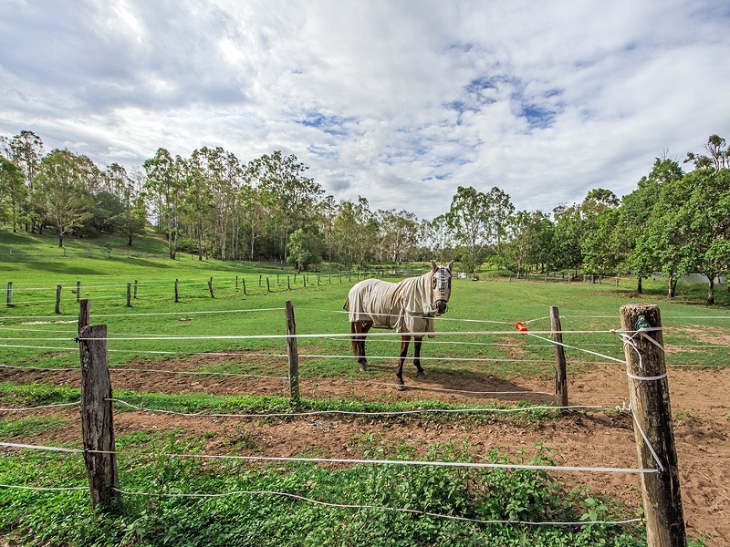 Tamborine QLD 4270