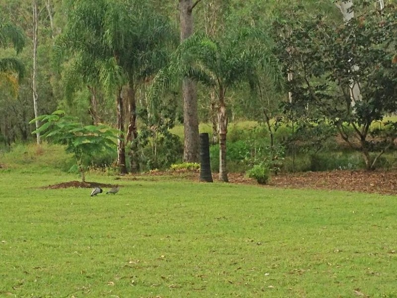 Tamborine QLD 4270