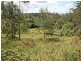 91 Wongawallan Road, Eagle Heights QLD 4271