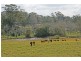 59 Wilson Road, Tamborine Mountain QLD 4272