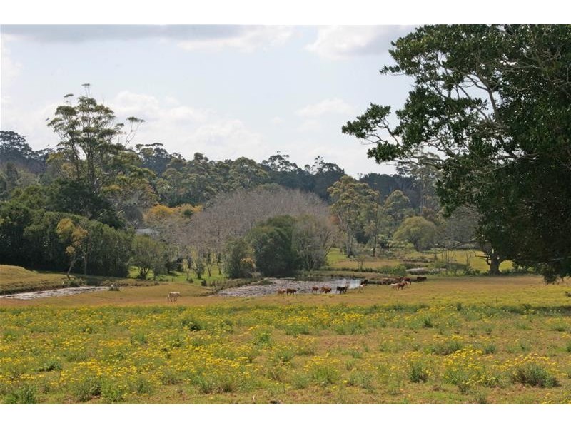 59 Wilson Road, Tamborine Mountain QLD 4272