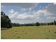 59 Wilson Road, Tamborine Mountain QLD 4272