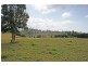 59 Wilson Road, Tamborine Mountain QLD 4272