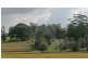 59 Wilson Road, Tamborine Mountain QLD 4272